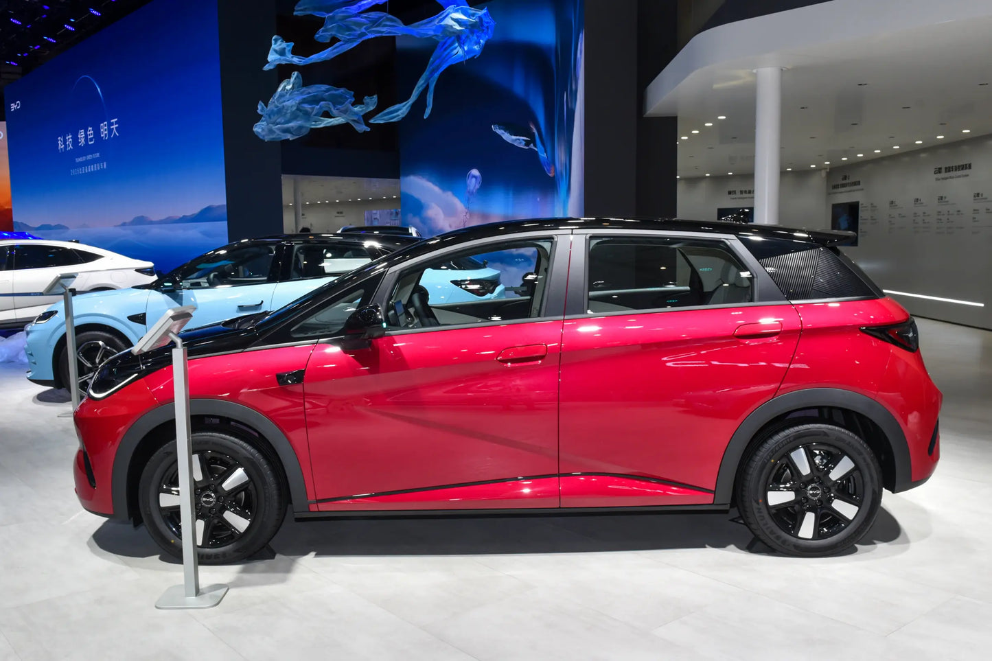 BYD Delfin