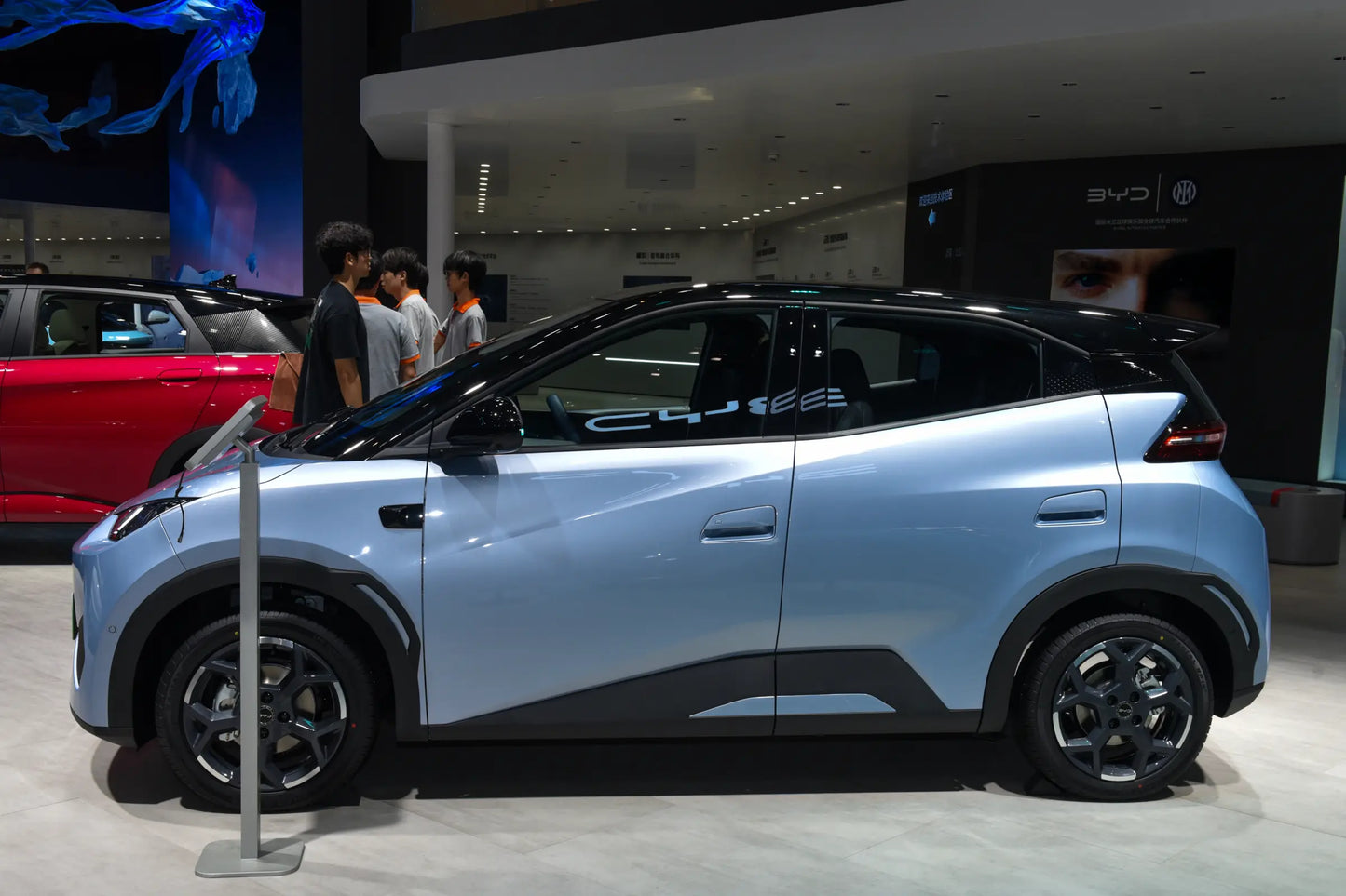 BYD سيغول