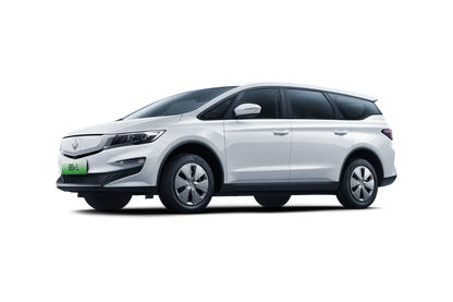 Livan Auto Érable 80v