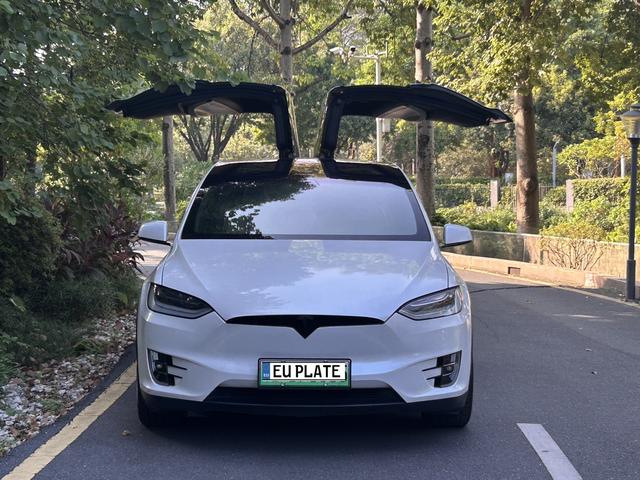 Pre-Owned Tesla Model X 2019 Long Range Edition