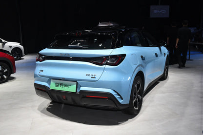 Joint BYD 06 GT