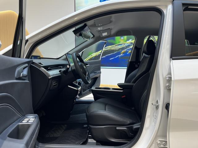 Pre-Owned NETA AYA 2023 Model 401 Lite