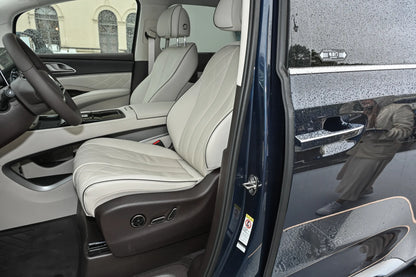 Denza Denza D9 DM -Hybride PHEV