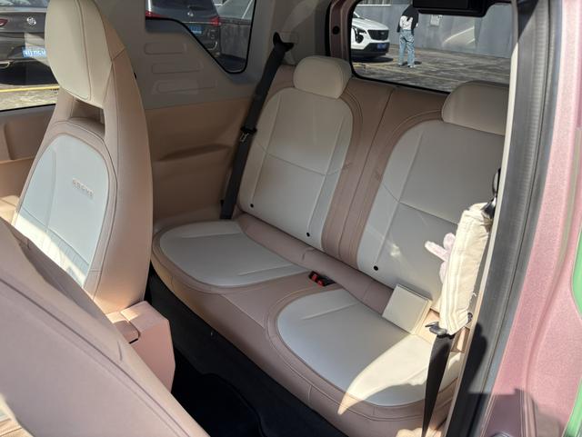 Pre-Owned Panda 2023 Model 200km Panda Mini Endurance Bear