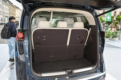 Denza Denza D9 DM -Hybride PHEV