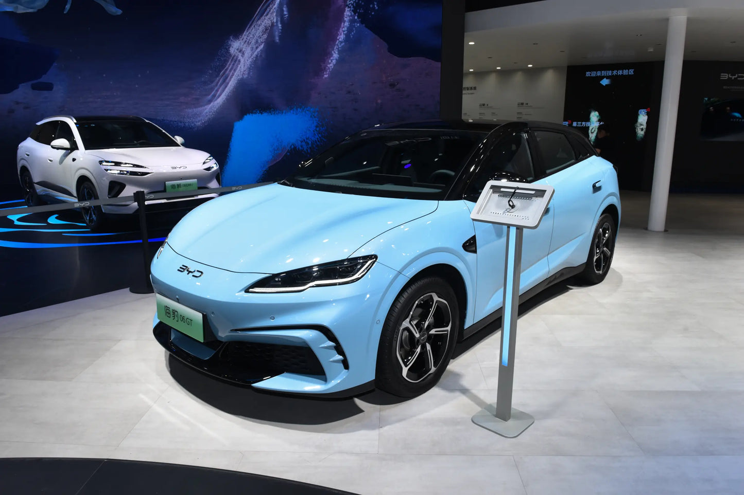 Joint BYD 06 GT