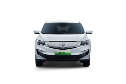 Livan Auto Érable 80v